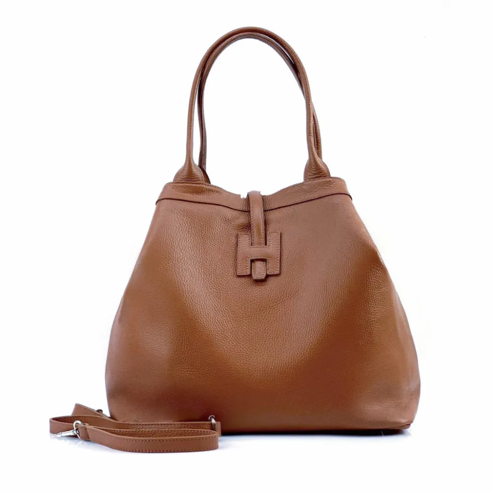 H208S · Brown