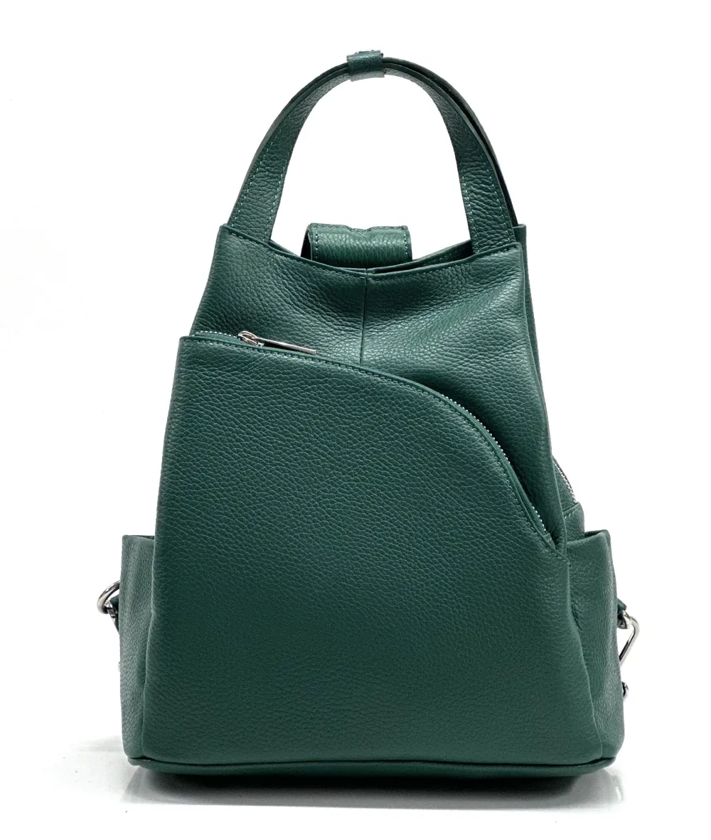 H6595 · ピーコック
